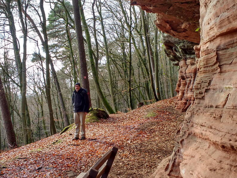 IMG 20190118 131132558 HDR